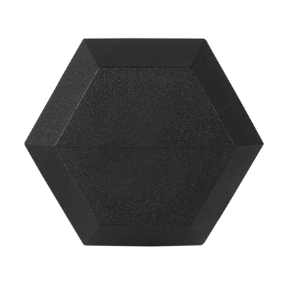 Rubber Encased Hex Dumbbell, 10Lbs, Single